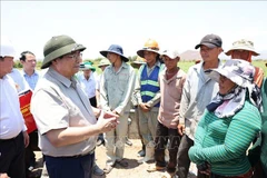 Premier vietnamita inspecciona lucha contra sequía en Ninh Thuan