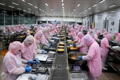 Más establecimientos acuícolas de Vietnam autorizados a exportar a diversos mercados