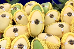 Perspectivas del mango vietnamita para conquistar mercados más exigentes