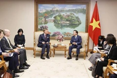 Promueven Vietnam y Dinamarca cooperación en proyectos de puertos marítimos verdes