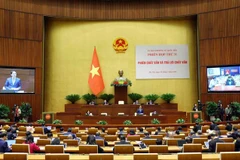 Parlamento vietnamita realiza interpelaciones sobre asuntos de diplomacia