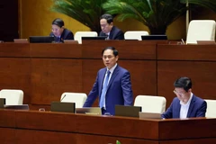 Canciller destaca logros de Vietnam en diplomacia cultural
