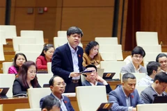 Promoción de cultura tradicional a vietnamitas en ultramar, un foco diplomático