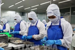 Vietnam ocupa quinto lugar entre proveedores de productos acuáticos de Singapur