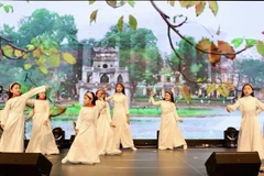 Comunidad vietnamita en Alemania se reúne en ocasión del Tet 