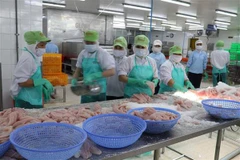 Superávit de productos agroforestales y pesqueros de Vietnam casi se duplica