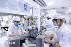 Mejora del entorno de inversión en Vietnam consolida confianza de inversores 