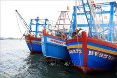 Vietnam dispuesto a impulsar más lucha contra pesca ilegal