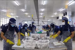 Número de nuevas empresas alcanza récord en el primer trimestre de 2024