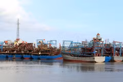 Provincia vietnamita de Nam Dinh intensifica lucha contra pesca ilegal