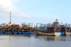 Provincia vietnamita de Nam Dinh intensifica lucha contra pesca ilegal
