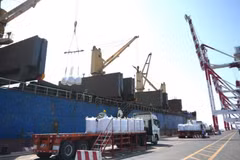 Exportaciones de Vietnam se disparan en enero 