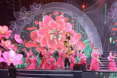 Celebran Festival de flor de durazno en provincia norvietnamita de Lang Son