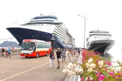 Provincia de Quang Ninh recibirá 60 cruceros turísticos internacionales en 2024