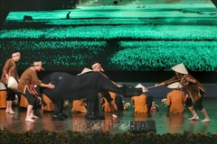 Hanoi acogerá el Festival Internacional de Títeres 2024