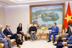 Promueven Vietnam y Dinamarca cooperación en energías renovables