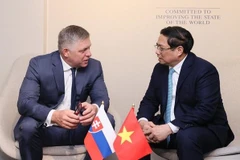 Premier vietnamita se reúne con dirigentes de países y organizaciones internacionales
