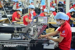 BAD mantiene previsión de crecimiento para economía de Vietnam