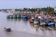 Provincia vietnamita impulsa fuertemente lucha contra pesca ilegal