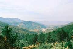Da Lat se encuentra entre nueve destinos turísticos naturales más favoritos de Asia