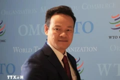 Vietnam exhorta a la protección de civiles en conflictos armados