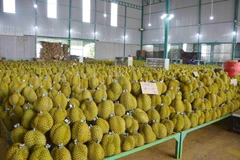 Productos agrícolas vietnamitas son más buscados en mercado internacional
