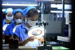 Gozan Vietnam y Argentina de buenas perfectivas de desarrollo comercial