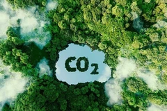 Vietnam recibe 51,5 millones de dólares de BM por reducir emisiones de carbono