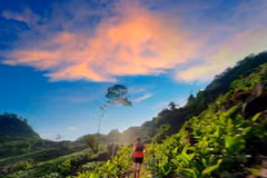 Prevén nutrida participación en Ultramaratón en Vietnam