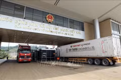 Dinámico comercio marca inicio del Año Nuevo Lunar en puerta fronteriza vietnamita