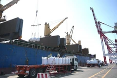 Exportaciones de Vietnam se disparan en enero 