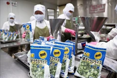 Vietnam reporta señales positivas de exportaciones en el primer trimestre