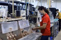 Vietnam registrará 230 mil 500 empresas más este año