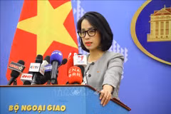 Vietnam muy preocupado por la reciente tensión en el Mar del Este, afirma portavoz