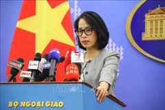 Vietnam muy preocupado por la reciente tensión en el Mar del Este, afirma portavoz