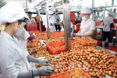 Oportunidades de exportación al mercado chino