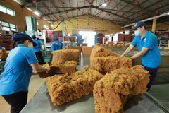 Vietnam obtiene 160 millones de dólares por exportaciones de caucho