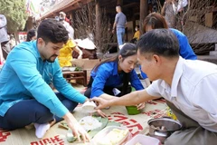 Ofrecen nuevas experiencias de Tet vietnamita en Hanoi