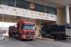 Tres mil empresas vietnamitas reciben códigos para exportar productos agrícolas a China