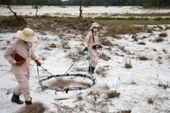 Quang Tri trabaja para vivir de forma segura con bombas y minas para 2025