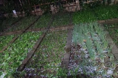 Fuertes aguaceros y granizo azotan Lao Cai