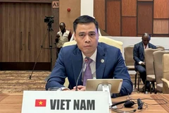 Vietnam propone orientaciones de cooperación en III Cumbre del Sur