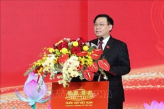 Resaltan desempeño de consejos populares locales de Vietnam 