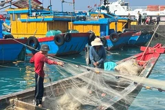 Provincia vietnamita trabaja duro para combatir la pesca ilegal
