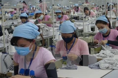 Grandes expectativas de empresas de Vietnam para 2017