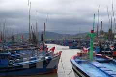 Provincia vietnamita en necesidad de medios para faenas en el mar 