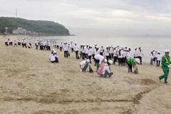 Vietnam enfrenta riesgo de desertificación del mar