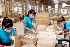 Vietnam exporta más de siete mil millones de dólares en madera en 2016
