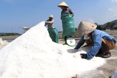 Vietnam se esfuerza por desarrollar industria salinera en Sa Huynh 