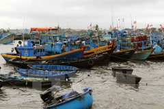 Vietnam impulsa investigaciones y gestión de explotación del mar e islas